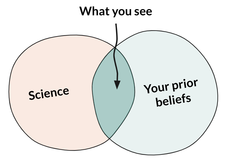 What is confirmation bias?